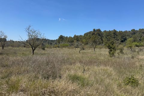 Helårsgrund i Cretas, Teruel, Cretas - € 60.000 | Ref: Iaco - foto 7
